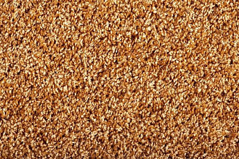 Ковролин Condor Minotti Minotti 915004 фото 1 | FLOORDEALER